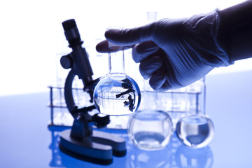 Scientist in laboratory examinates samples and chemical