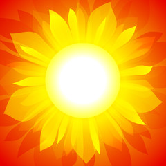 Sunflower vector background
