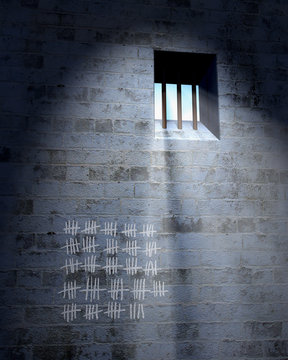 jailhouse cell door