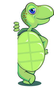 Old Turtle Cartoon Images – Browse 1,429 Stock Photos, Vectors, and Video |  Adobe Stock