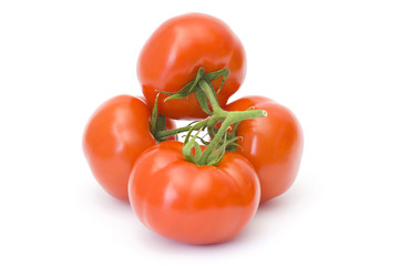 fresh tomatoes