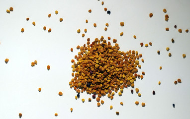 Pollengranulat.