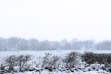 snowy covered country scene