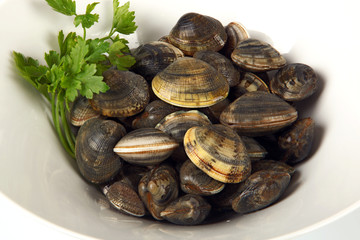Vongole