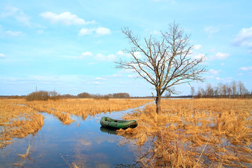 rubber boat near oak