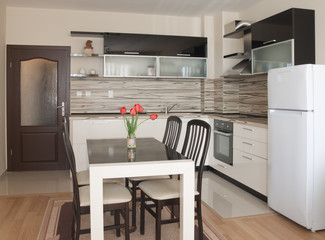 Modern kitchen interior design