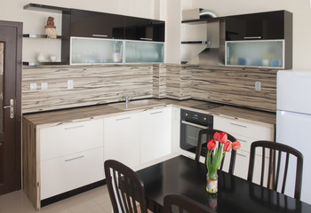 Modern kitchen interior design