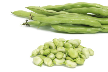 broad bean