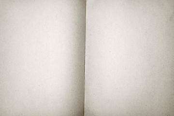Blank pages of an old book in close up in black and white
