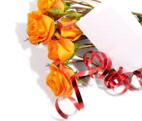 Orange roses