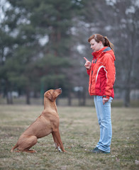 Master and her obedient (rhodesian ridgeback) dog