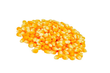 corn grains isolated