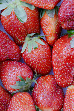fresas5