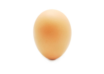 egg isolated