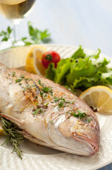 grilled red snapper with salad vertical  shoot