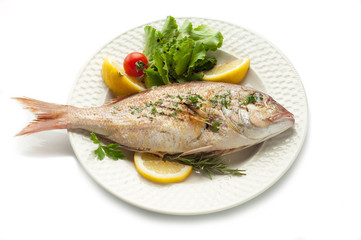 grilled red snapper with salad isolated on white