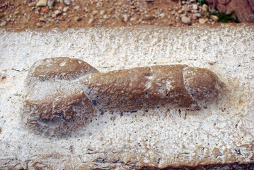 Phallos at the Dog's House, Volubilis, Morocco