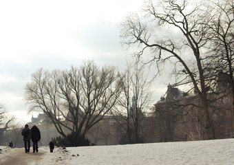 Spaziergang im Winter