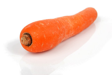 carrot