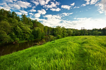 summer field on blue sky background