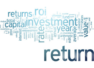 Return on investment (ROI)
