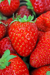 Fresas