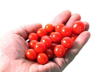 tomato small