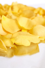 pétales sur un plateau