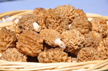 produit du terroir