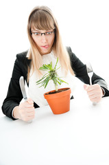 healthy food for businesswoman