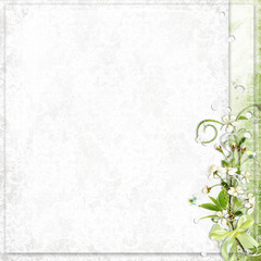 white background with cherry tree flowers