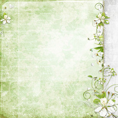 green background with cherry flowers