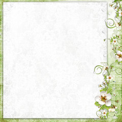 white background with apple tree flowers