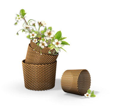 brown backets with apple tree flowers