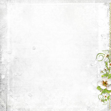 white background with apple tree flowers