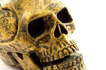 Totenkopf