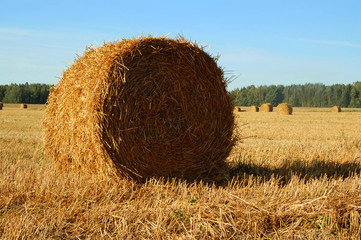 Hay bales