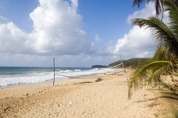 Fototapeta na wymiar coconut tree desolate beach long bag corn island nicaragua