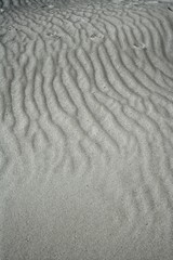 sand waves testure on white sands like desert