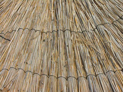texture - paille parasol Corse
