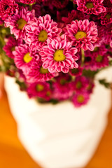 Flower in vase