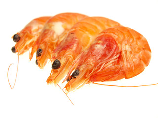 Fresh prawn salad