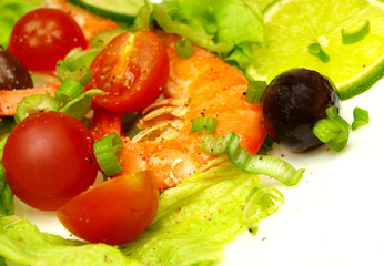 Fresh prawn salad