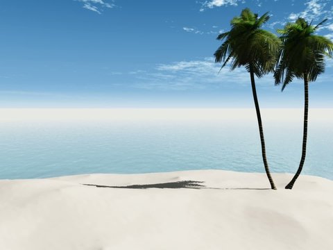 15 second animation of palmtrees on a beach
