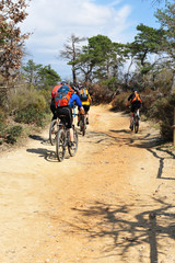 Randonnée à vélo