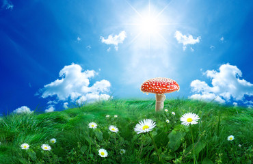 beautiful landscape with  Red Mushroom