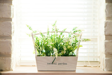 A buatiful decoration. And sunny light in the window.