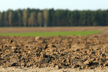 Spring field prepared for cultivation