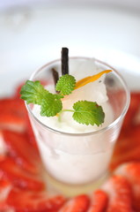 Sorbet