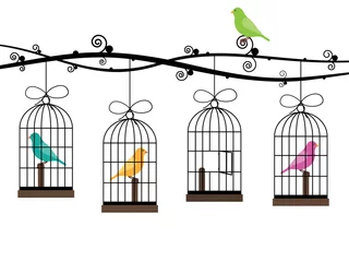 Papier Peint photo Lavable Oiseaux en cages cages à oiseaux